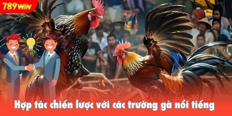 Hợp tác chiến lược với các trường gà nổi tiếng